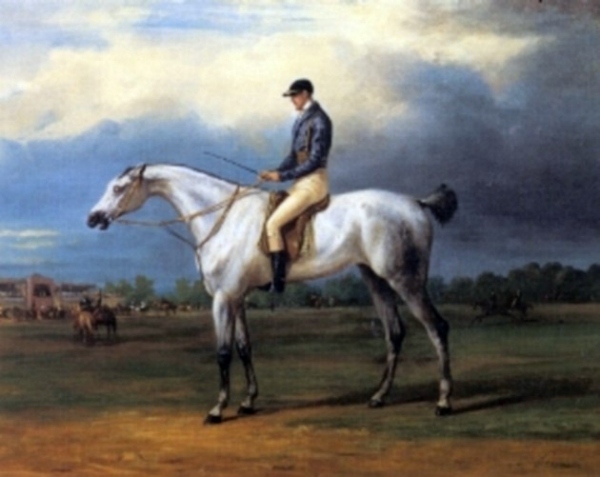 Antoine Charles Horace Vernet A Grey Racehorse With Jockeya