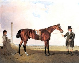 B Marshall bayracehorseheld by trainer c 1848a