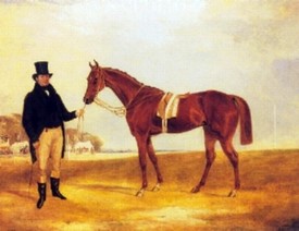 franci scalcraft turner a chestnut racehorse held by ownera