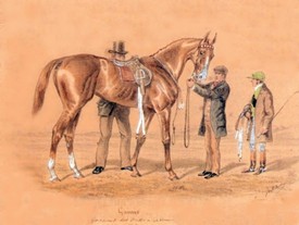 julien damosgagnantracehorse c1870a