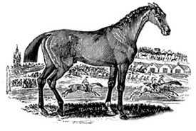 racehorse c 1860a